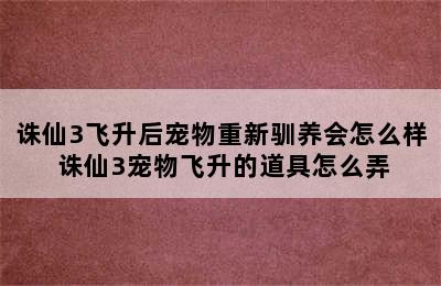 诛仙3飞升后宠物重新驯养会怎么样 诛仙3宠物飞升的道具怎么弄